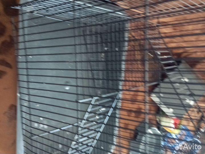 Клетка для грызунов большая