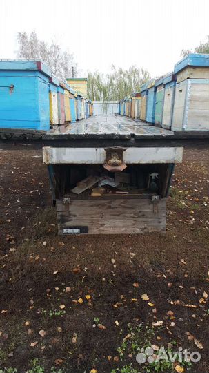 Прицеп для пчел
