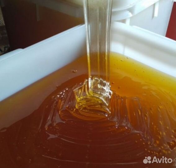 Мед Башкирский