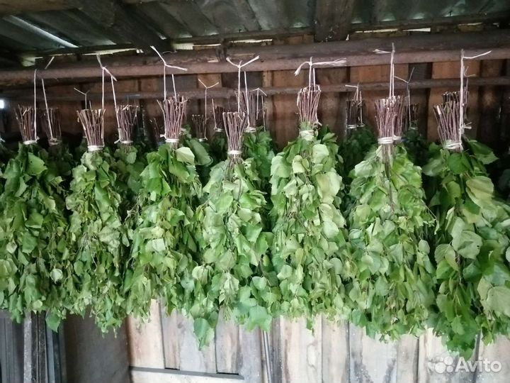 Берёзовые Веники для Бани