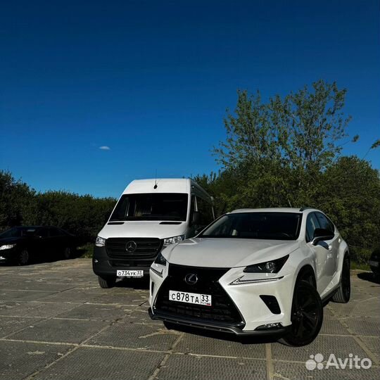 Автобус, машина на свадьбу, трансфер любой