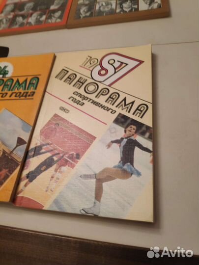 Панорама спортивного года