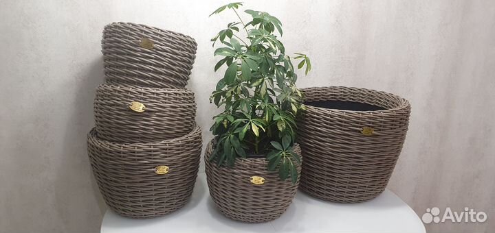 Кашпо из ротанга