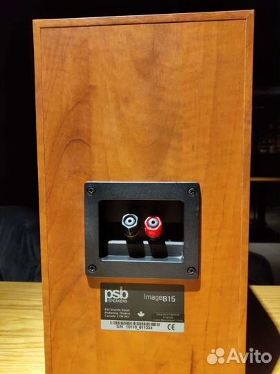 Колонки PSB Image B15