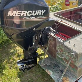 Mercury 25 elpt efi