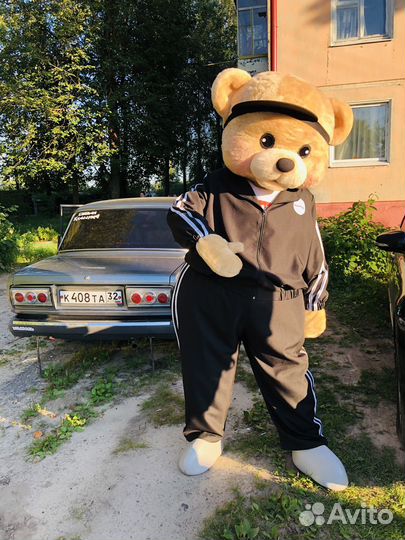 Мишка Тед поздравление от ростовой куклы