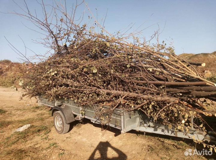 Спил деревьев.вывоз