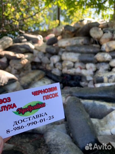 Грибной блок