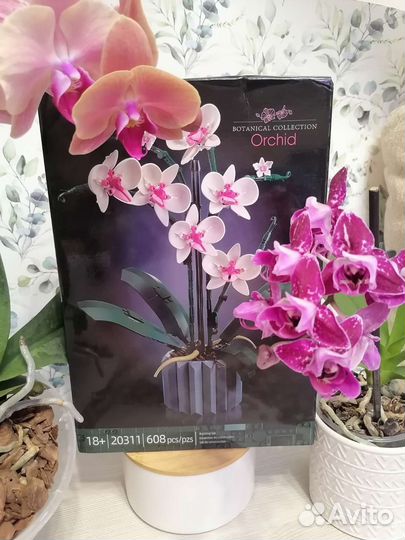 Конструктор Botanical Collection Orchid