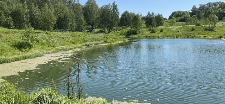 Участок 3,9 га (СНТ, ДНП)