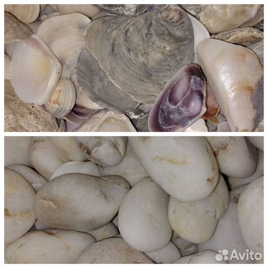 Морские камни и ракушки для аквариума 6.7 кг