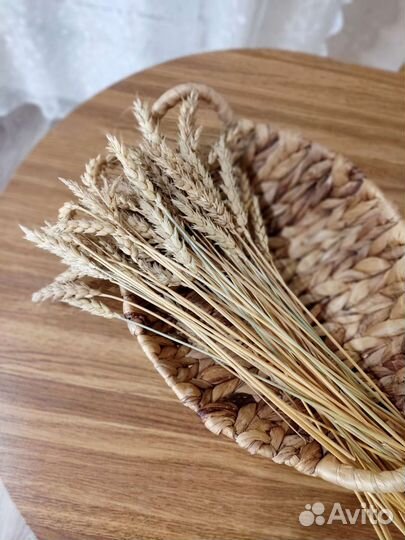 Букет из колосьев