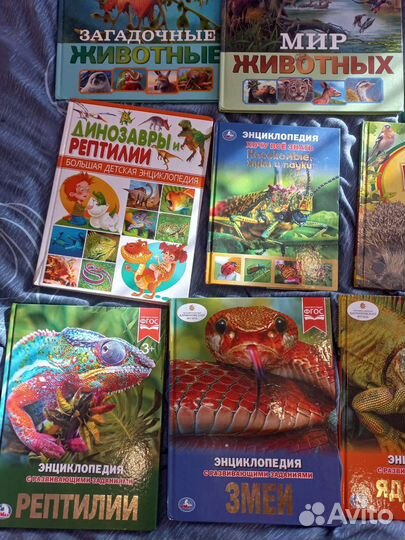 Детские книги про динозавров, насекомых, животных