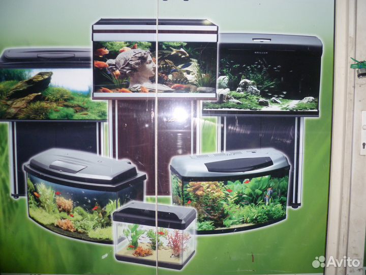 Аквариумы