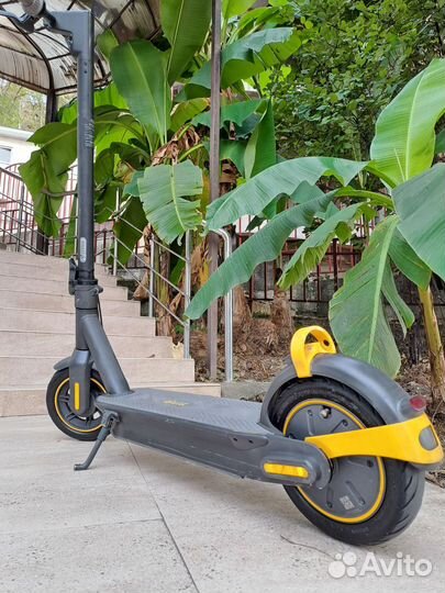Ninebot kickscooter max g30p