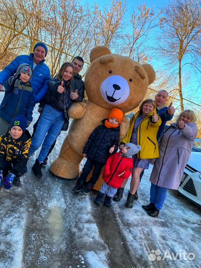 Ростовой медведь