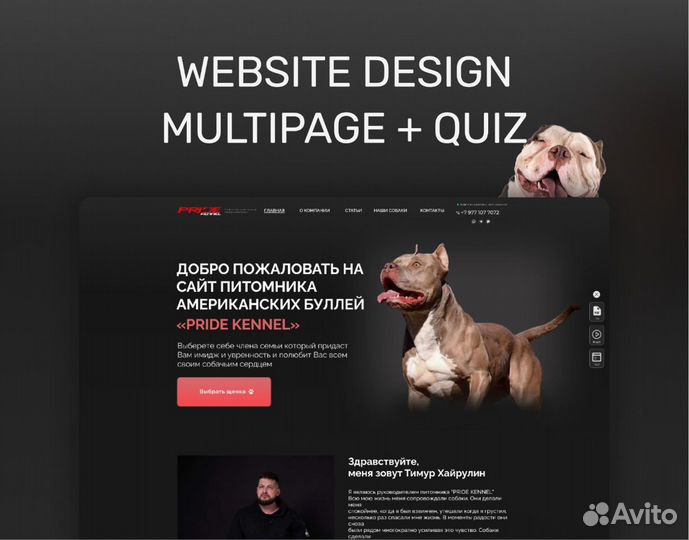 Разработка Сайтов / Сео Продвижение / Реклама