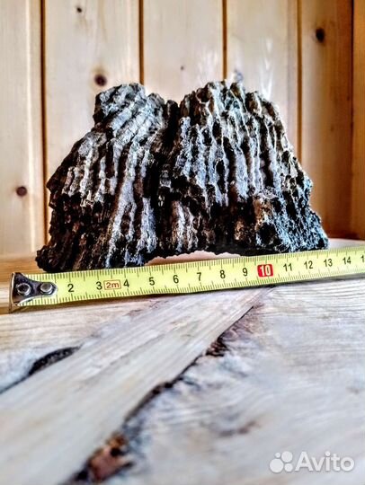 Окаменелые кораллы