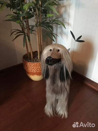 Чучело собаки