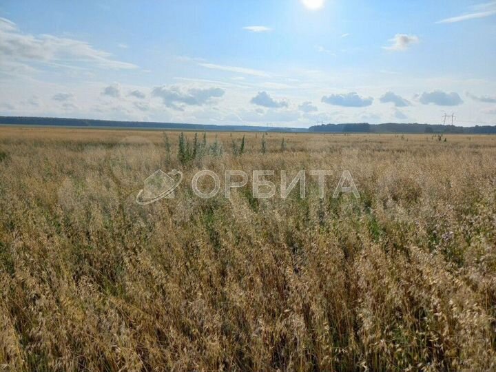 Участок 8,4 сот. (СНТ, ДНП)