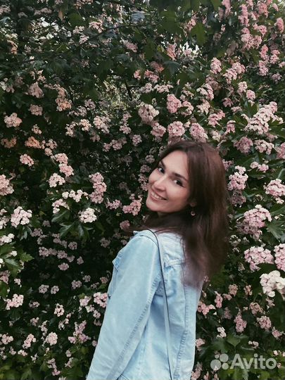 Репетитор по информатике