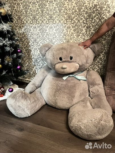 Плюшевый медведь