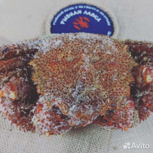 Раки варёные и морепродукты