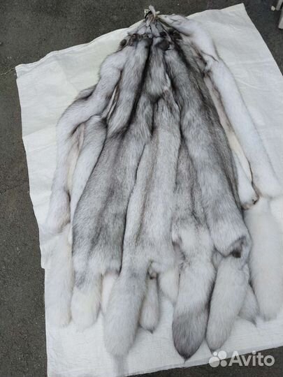 Шкуры лисы
