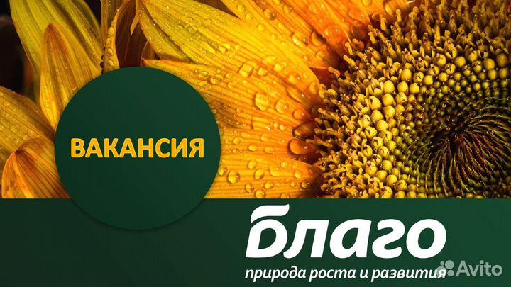 Разнорабочий