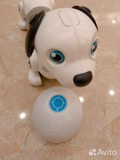 Ycoo робот собака