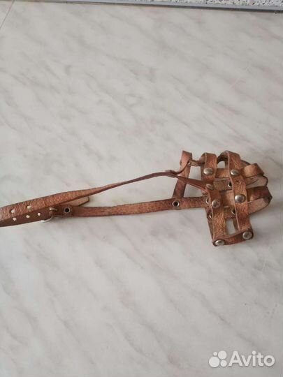 Намордник и поводок для маленькой собачки