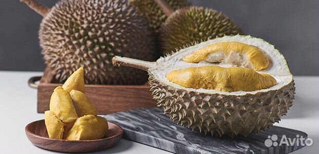 Дуриан