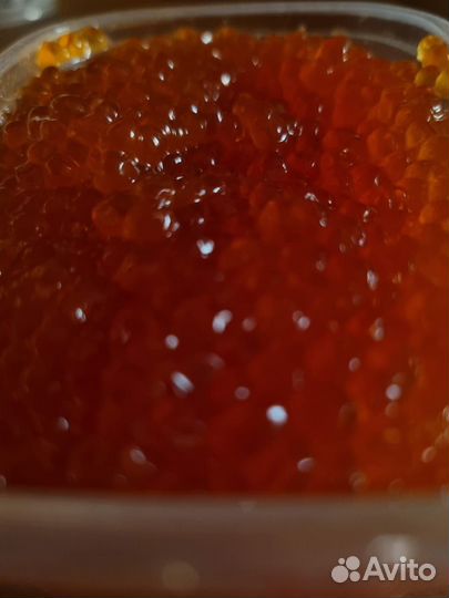 Продам икру