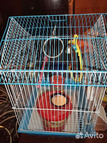 Клетка для попугая бу и аквариум