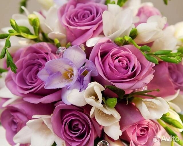 Алмазная картина