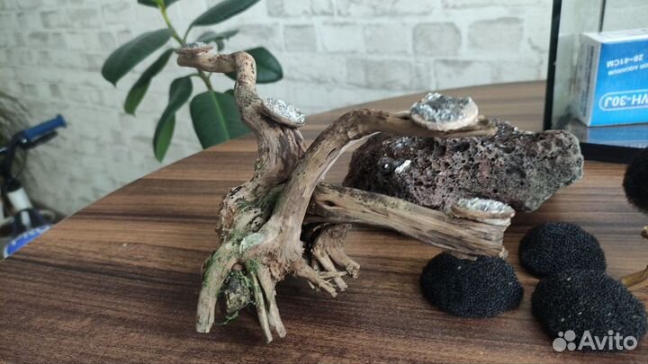 Аквариум куб с крышкой 25 л,обогревателем и лампой