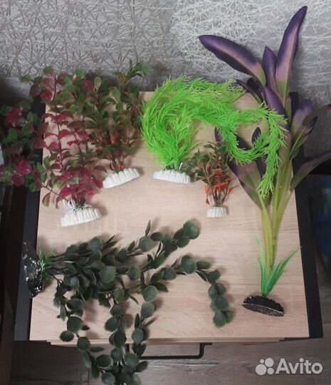 Аквариум 80 литров