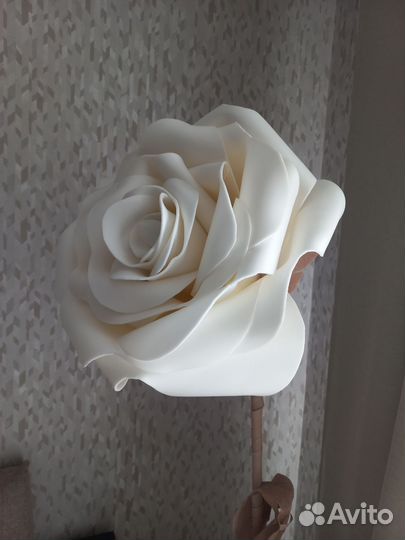 Роза-Лампа-цветок