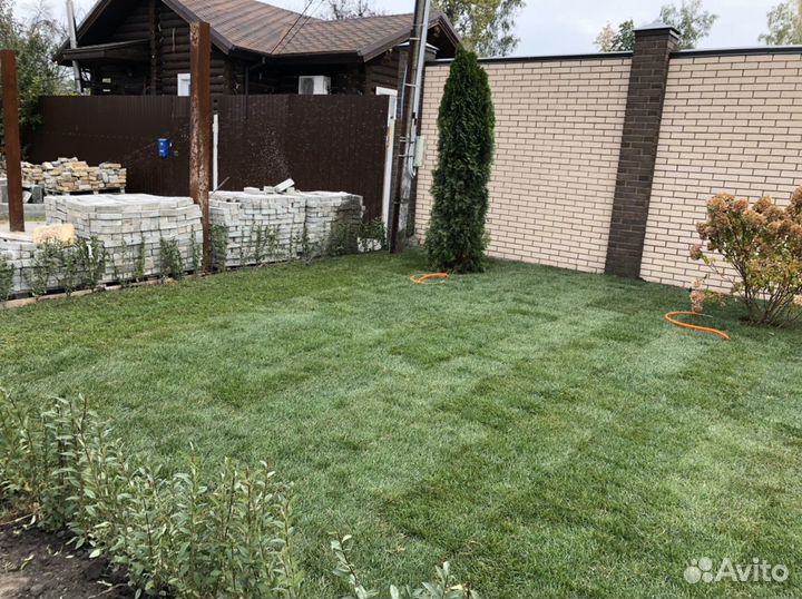 Рулонный газон