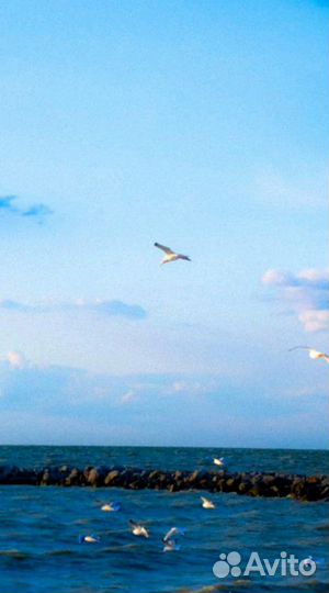 Водитель такси