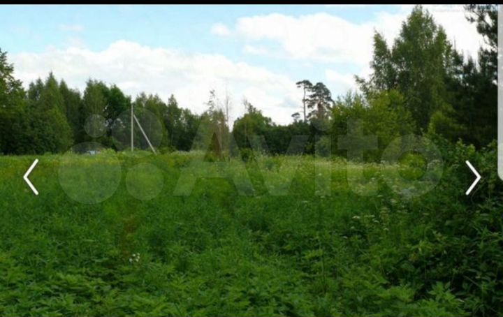 Участок 15 сот. (ИЖС)