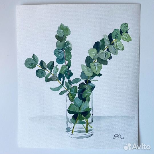 Эвкалипт акварелью, набор