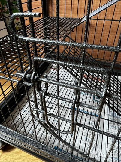 Клетка для грызунов или попугаев