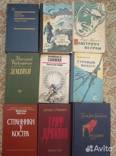 Д. Донцова. Зимнее лето весны. 2008 год