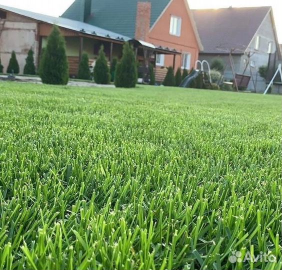 Рулонный газон/Москва и обл
