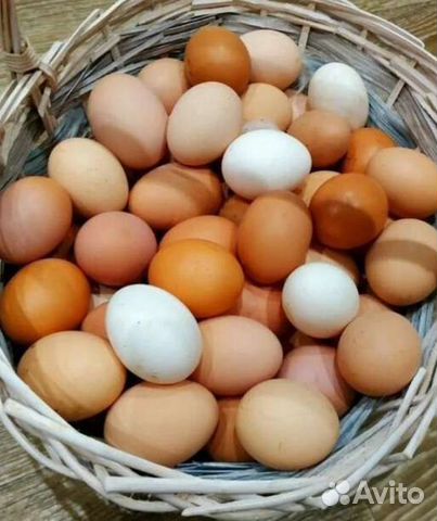 Яйцо куриное деревенское