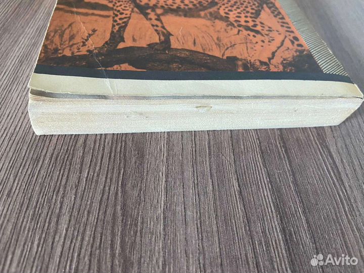 Д.Адамсон. Пятнистый Сфинкс