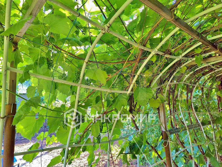 Дача 73,9 м² на участке 5,8 сот.