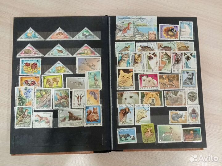 Марки СССР целый альбом