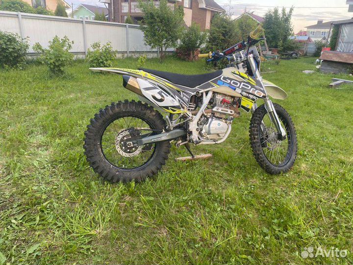 Avantis fx 250